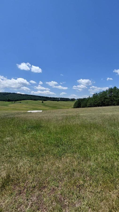 Iva Daire Zlatibor Dış mekan fotoğraf