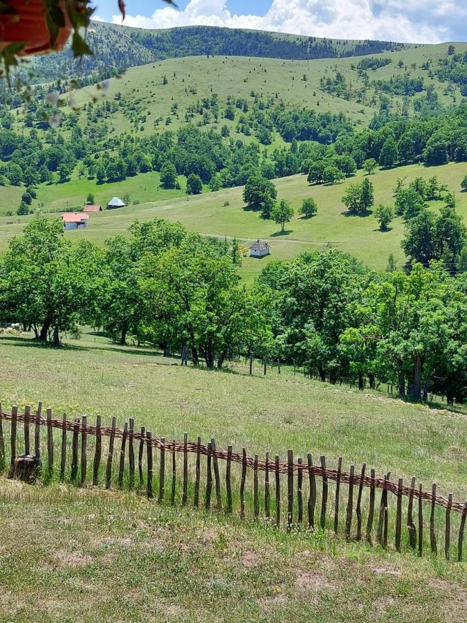 Iva Daire Zlatibor Dış mekan fotoğraf