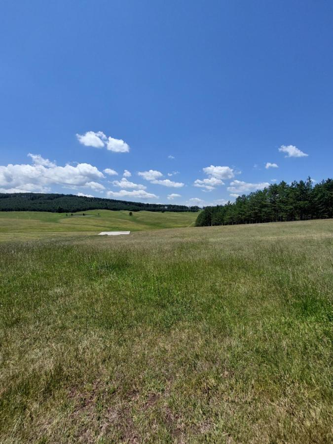 Iva Daire Zlatibor Dış mekan fotoğraf